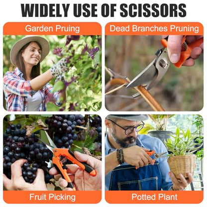 3 Pcs Garden Pruning Shears, Stainless Steel Gardening Scissors