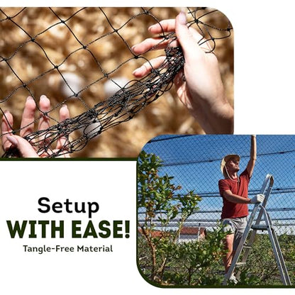 Heavy Duty Bird Netting for Chicken Coops & Runs | Keep Hawks, Birds & Predators Away | Hawk Netting 1.5 mm Thickness - Mesh 2"x2" | Aviary Net 50 x 100 ft (25 x 100 ft) - size: 25 x 100 ft