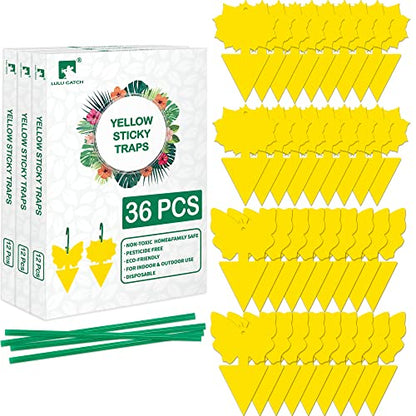 LULUCATCH Fruit Fly Sticky Trap 36 Pack, Safe Gnat Traps for Fruits, Plants, Super Sticky Fly Trap for Indoor, Outdoor, Kitchen, Insect Catcher for White Flies, Mosquitos, Fungus Gnats, Flying Insects - size: 36 Pack