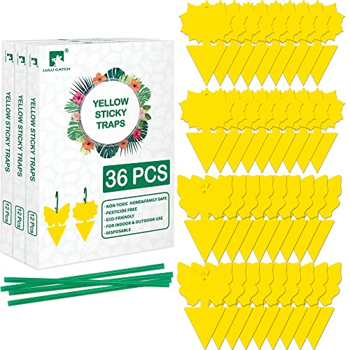 LULUCATCH Fruit Fly Sticky Trap 36 Pack, Safe Gnat Traps for Fruits, Plants, Super Sticky Fly Trap for Indoor, Outdoor, Kitchen, Insect Catcher for White Flies, Mosquitos, Fungus Gnats, Flying Insects - size: 36 Pack