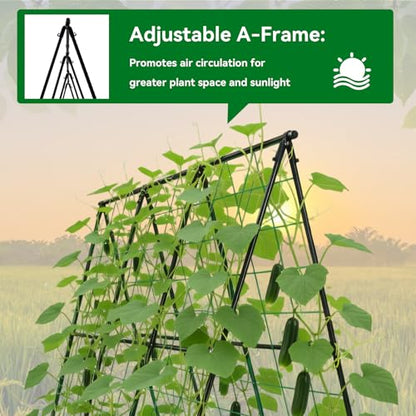Cucumber Trellis 49.4"*49.4" Metal Garden Trellis for Climbing Plants,Black - color: black, size: 50"*32"*50"