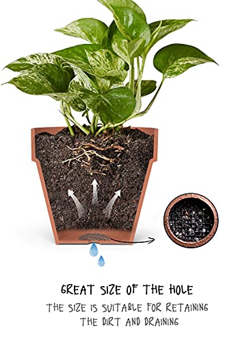 LE TAUCI Plant Pot Drainage Hole Mesh Pads, 2-Inch, 50-Pack - size: 2 Inch