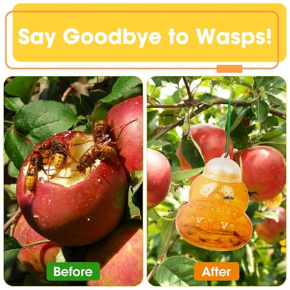 2 Pack Reusable Wasp Traps Outdoor Hanging - color: orange