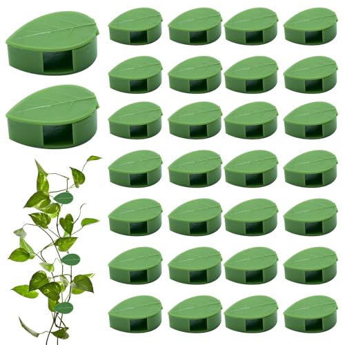 Plant Wall Clips for Climbing Vines Green Garden Stem Holder with Adhesive Climbing Wall Fixture Clips for Indoor Wall Decor, Office, Home (30 Packs) - size: 30 Pack