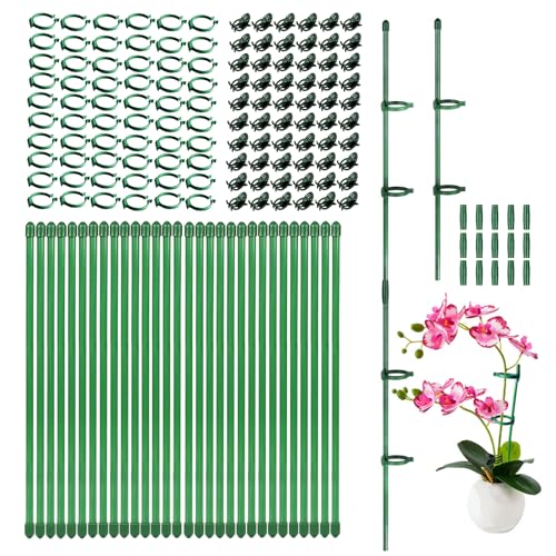 165Pcs Adjustable Plant Support Stake for Potted Plant Flower Tomato Orchid