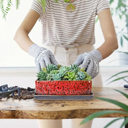 Succulent Pots - Long Rectangle Succulent Planters with Drainage Tray - color: Red