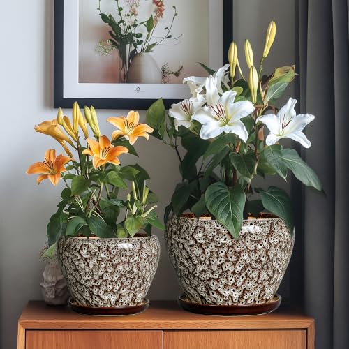 10+8+6 Inch Plant Pot, Ceramic Pots for Plants, White Leopard - color: Leopard White