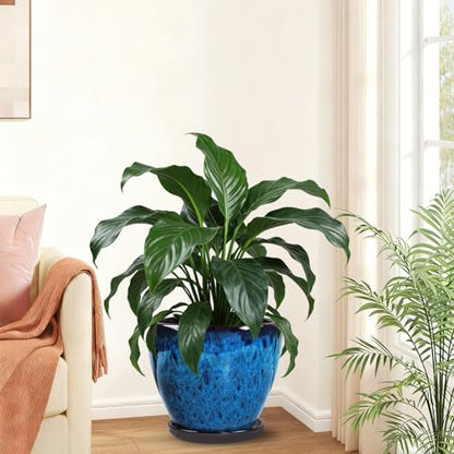 Ceramic Plant Pots With Saucer & Drainage Hole, 10 inch Indoor Flower Pots - color: Blue, size: 10 inch