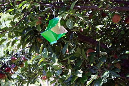 VivaTrap VT-106 Codling + Oriental Fruit Moth Trap & Lure (2 Pack)