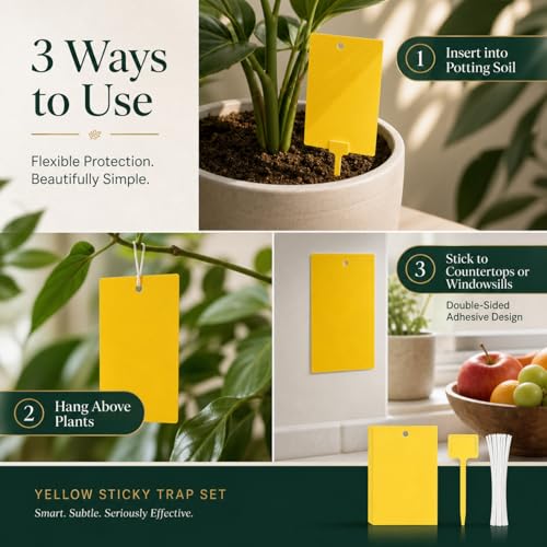 Qualirey 200 Pcs 6 x 8 in Yellow Sticky Traps for Gnats Plant Insect Trap - color: Yellow