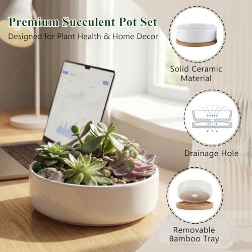 ZOUTOG 6 Pack 6" Ceramic Succulent Pots, White Planters with Drainage Tray - color: 6 Pack, size: 2.28 Inch High