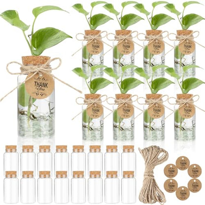 Ysglory 24 Pack 3.54'' Plant Propagation Stations 4oz Plastic Vases Jars