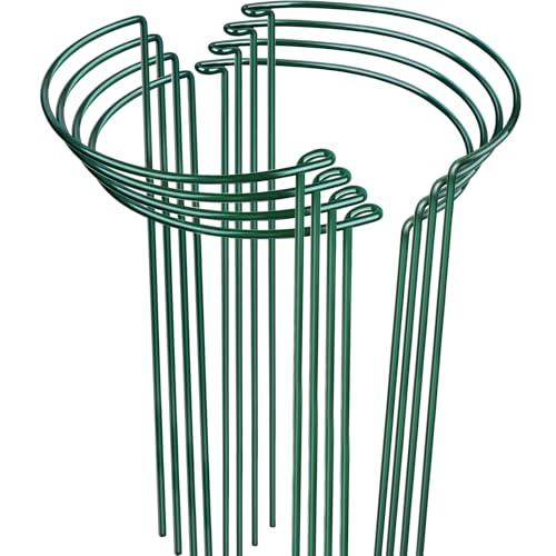 LEOBRO Plant Support, 8 PCS Peony Cages and Supports, Metal Plant Stakes, Plant Supports for Indoor Plants, Outdoor Plants, Monstera Hydrangea Support Cage, 10" W x 24" H - size: 10"W x 24"H