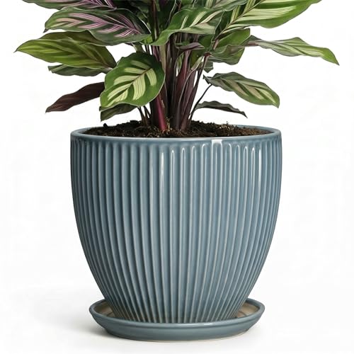 6 Inch Plant Pot Indoor, Ceramic Pots for Snake Succulent Plants, Decorative Round Flower Pots with Drainage Hole and Saucer, Modern Planter, Bookshelf Decor, Gifts for Men Women, Glaze Blue - color: Glaze Blue, size: 6 Inch