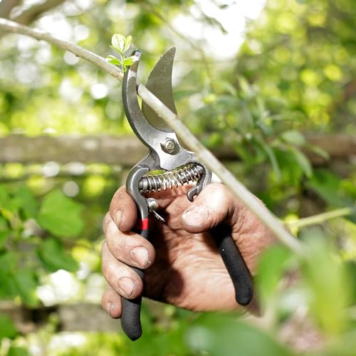 Spear & Jackson Drop Forged Bypass & Anvil Pruners Set, 2 Piece Professional Garden Pruning Tools, Durable Steel Blades, Comfortable Ergonomic Handles - style: Traditional Bypass & Anvil Set