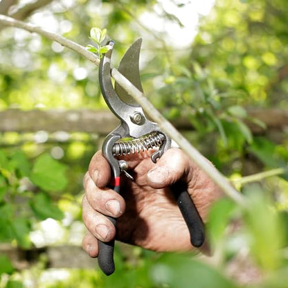 Spear & Jackson Drop Forged Bypass & Anvil Pruners Set, 2 Piece Professional Garden Pruning Tools, Durable Steel Blades, Comfortable Ergonomic Handles - style: Traditional Bypass & Anvil Set