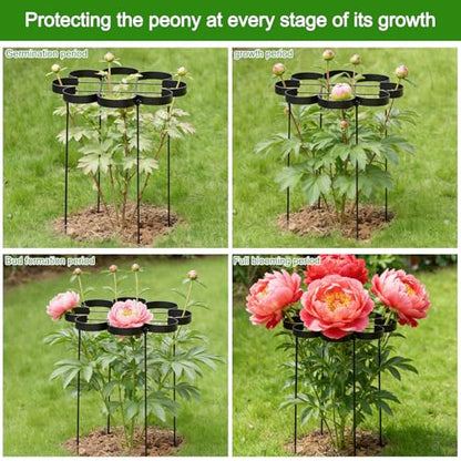 25" Peony Cages and Supports Elegant Modern Flower Support Stakes - color: Black