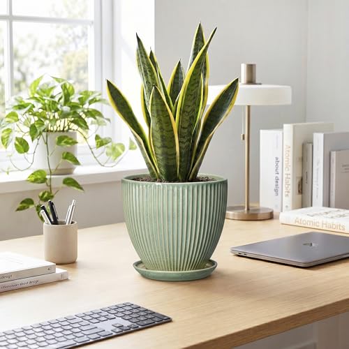 8 Inch Planter, Ceramic Plant Pots with Saucer, Green - color: Green, size: 8 Inch