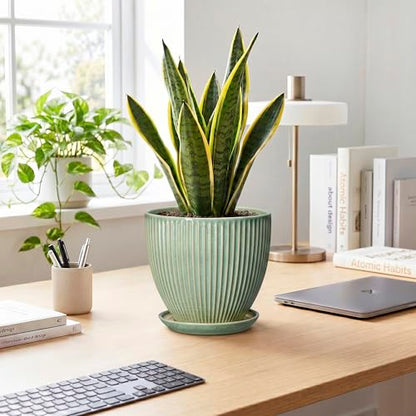 8 Inch Planter, Ceramic Plant Pots with Saucer, Green - color: Green, size: 8 Inch