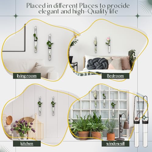 Baderke 12 Pack Plastic Hanging Propagation Station Tubes, Black - color: Black