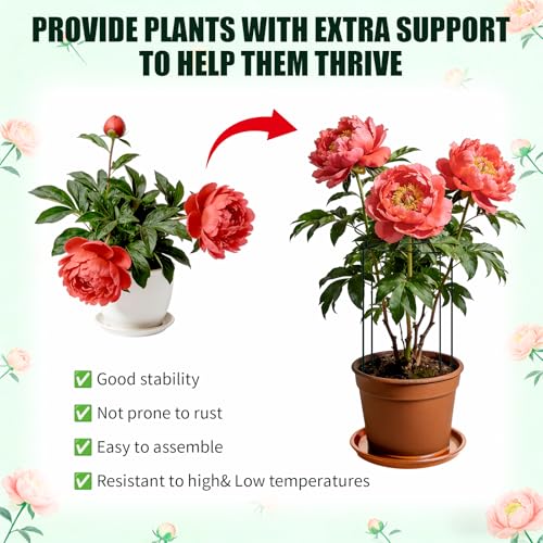 Peony Cages and Supports 4 Pack, 13" Dx24 H Grow Through Plant Supports, Heavy Duty Metal Plant Support Cage for Outdoor Flowers, Tomatoes, Hydrangeas, Cucumbers & Strawberries