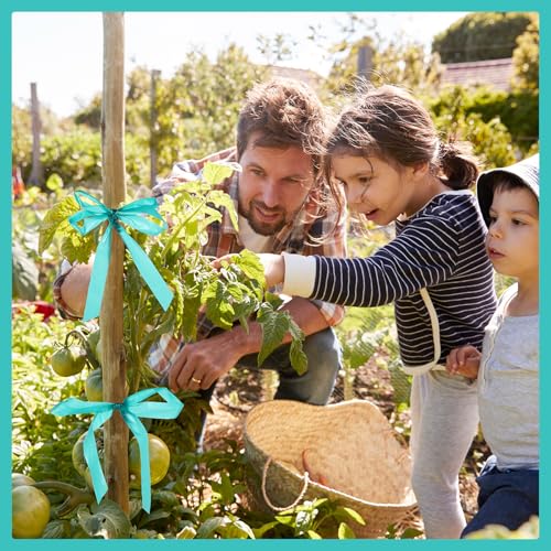 300FT Stretch Tie Tape Roll, 1'' Plant Tape Green Stretch Garden Tie - size: 1in/300ft