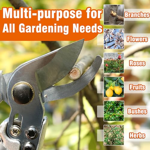 Gardzen 8" Bypass Prunning Shear Garden Scissors