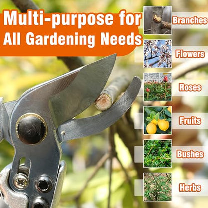 Gardzen 8" Bypass Prunning Shear Garden Scissors