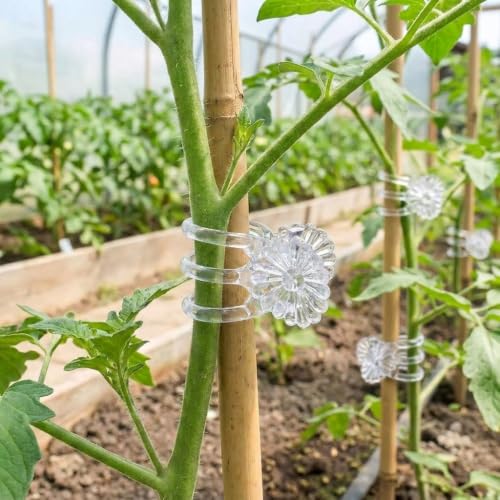 Garden Plant Clips, White Orchid Stem Support Clamps for Vine Training, Flower Stake Holders, 50 Count Pack - color: White