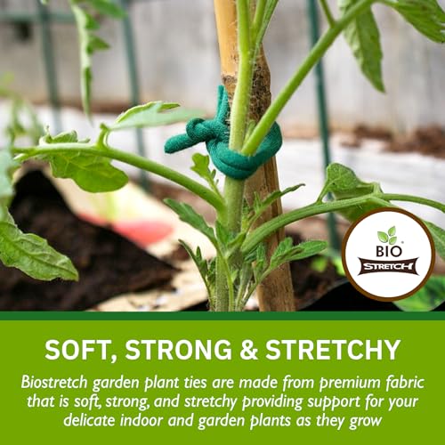Soft Garden Plant Ties for Indoor & Outdoor Plants - Strong & Stretchy Cut-to-Length Plant Tape for Climbing Plants, Tomato Vines & Home Gardening (656 ft / 200M) - size: 656 ft / 200M