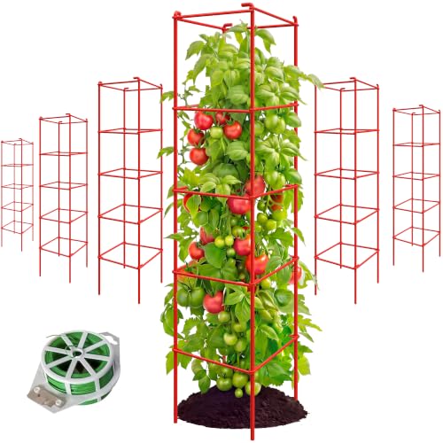 6-Pack 57inch Metal Tomato Cage for Garden Plant Support - color: Red, size: 57" H x 12" W