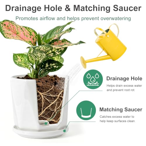 White Ceramic Planter Set of 3 with Drainage and Saucer, Indoor Plant Pots - color: Pure White