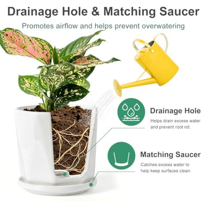 White Ceramic Planter Set of 3 with Drainage and Saucer, Indoor Plant Pots - color: Pure White