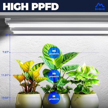 Barrina T8 Grow Lights for Indoor Plants, 3FT 5000K Full Spectrum, 6 Packs - size: 3FT