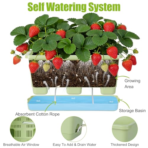 Oliz Window Box Planter 6 Packs, 13.8 Inches Rectangle Flower Pots with Drainage Holes & Trays, Pots for Vegetables, Herbs, Flowers, Garden Windowsill Balcony (Green) - color: Green