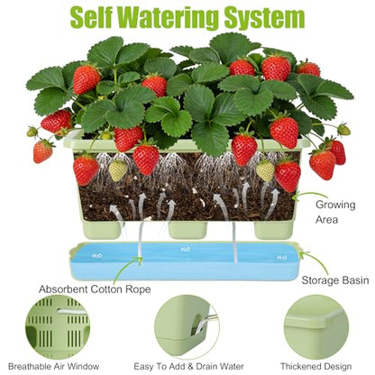 Oliz Window Box Planter 6 Packs, 13.8 Inches Rectangle Flower Pots with Drainage Holes & Trays, Pots for Vegetables, Herbs, Flowers, Garden Windowsill Balcony (Green) - color: Green