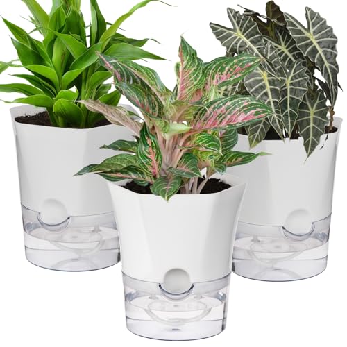 Self Watering Plant Pots, 6 Inch Orchid Pots, 3 Pack Flowers Pot Indoor - color: White Hexagon, size: 6 Inch Set of 3