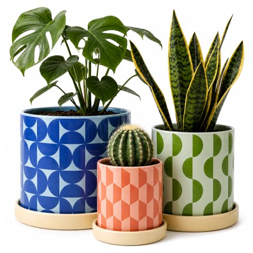Original Earthlings Ceramic Plant Pots, Indoor Planters - Set of 3