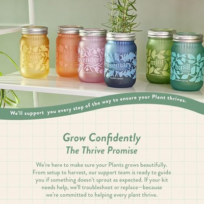 Modern Sprout Mason Garden Jar - Self-Watering Hydroponics Growing Kit-3Pk - color: Poppy + Rosemary + Mint