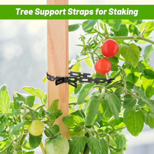 58 FT Plastic Chain Lock Tree Tie, 1/2" Wide Adjustable Tree Support Straps for Staking Flexible Reusable Cable Plant Tree Ties for Leaning Tree Garden Accessories - size: 58 FT