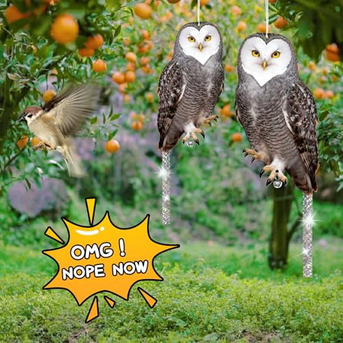 Owls to Keep Birds Away: 4Pcs Fake Owl with Reflective Tape for Orchard Garden Patio Pool, Reflective Hanging Decoration to Keep Birds Pigeon from Windows Tree Vineyard - color: Heart-4pcs