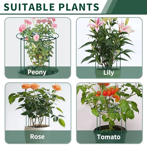 4pack Peony Cages and Supports, 12 x 24 Inch Four Legs Peony Cage, Heavy-Duty Peonies Support Cages, Peony Ring for Roses, Hydrangeas, Sage, Peonies, Cucumbers, Tomato - size: 12"x24"-4pack