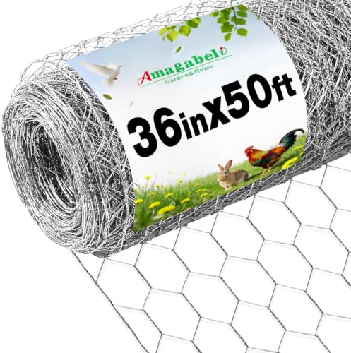 Amagabeli Chicken Wire Fencing 36inchx50ft Hexagonal Poultry Netting Galvanized Mesh Fence Chicken Netting Rabbits Pets Dog Cat Vegetable Garden fencing Barrier - size: 1" 36"x50'