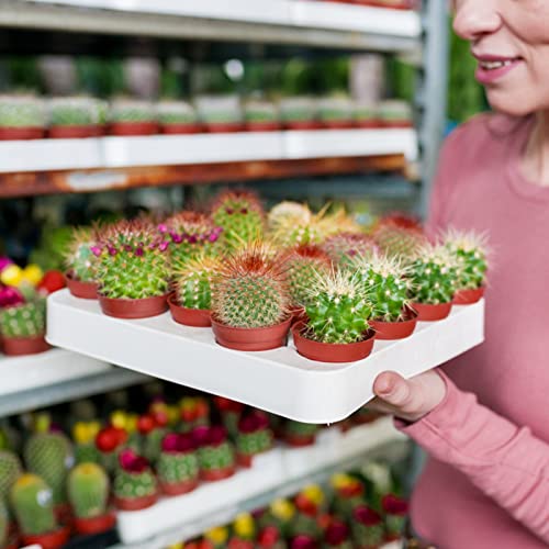 KINGLAKE GARDEN Small Terracotta Plastic Pots,50 Packs 2 Inch Plant Pots - color: Terracotta