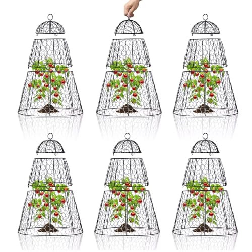 Easy-Snap Open Design Chicken Wire Cloche (6-Pack) - Adjustable Garden Plant Protectors from Birds & Animals for Large Plants & Flowers,14" D x 20" H - size: XL / 14"D x 20"H