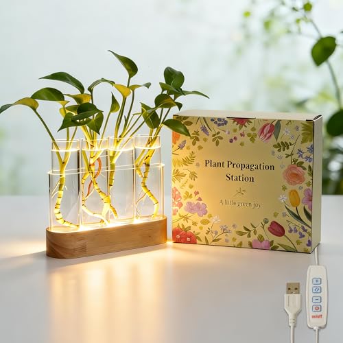 Plant Propagation Station with LED Grow Light, Wooden Stand & 4 Glass Tubes