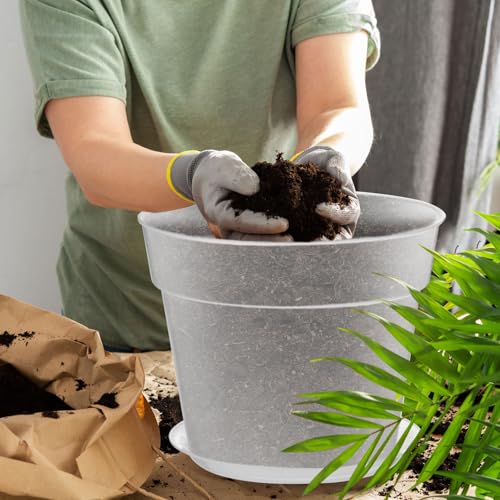 Baderke 3 Pack Clear Nursery Pot,13.65 Inch - size: 13.65 Inches