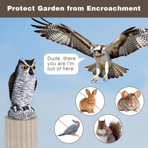 Qualirey 6 Pcs Fake Owl Decoys to Scare Birds Away 4 x 7.8 Inch Mini Plastic Owls Statue Outside Bird Deterrents Bird Scarecrow Sculpture Owl to Keep Bird Away for Outdoor Home Garden Yard Patio Decor