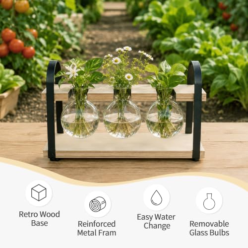 3-Bulb Plant Propagation Station, Glass Vase Terrarium, Retro White - color: White