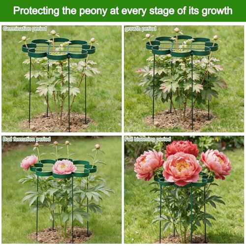 24.5" Dahlia Stakes and Supports - Outdoor Durable Plant Support - color: Green